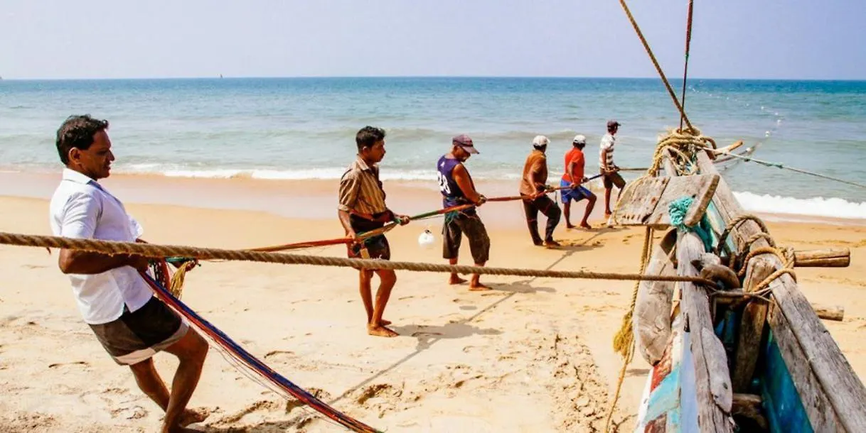 Browns Beach Overnight Negombo Hostel